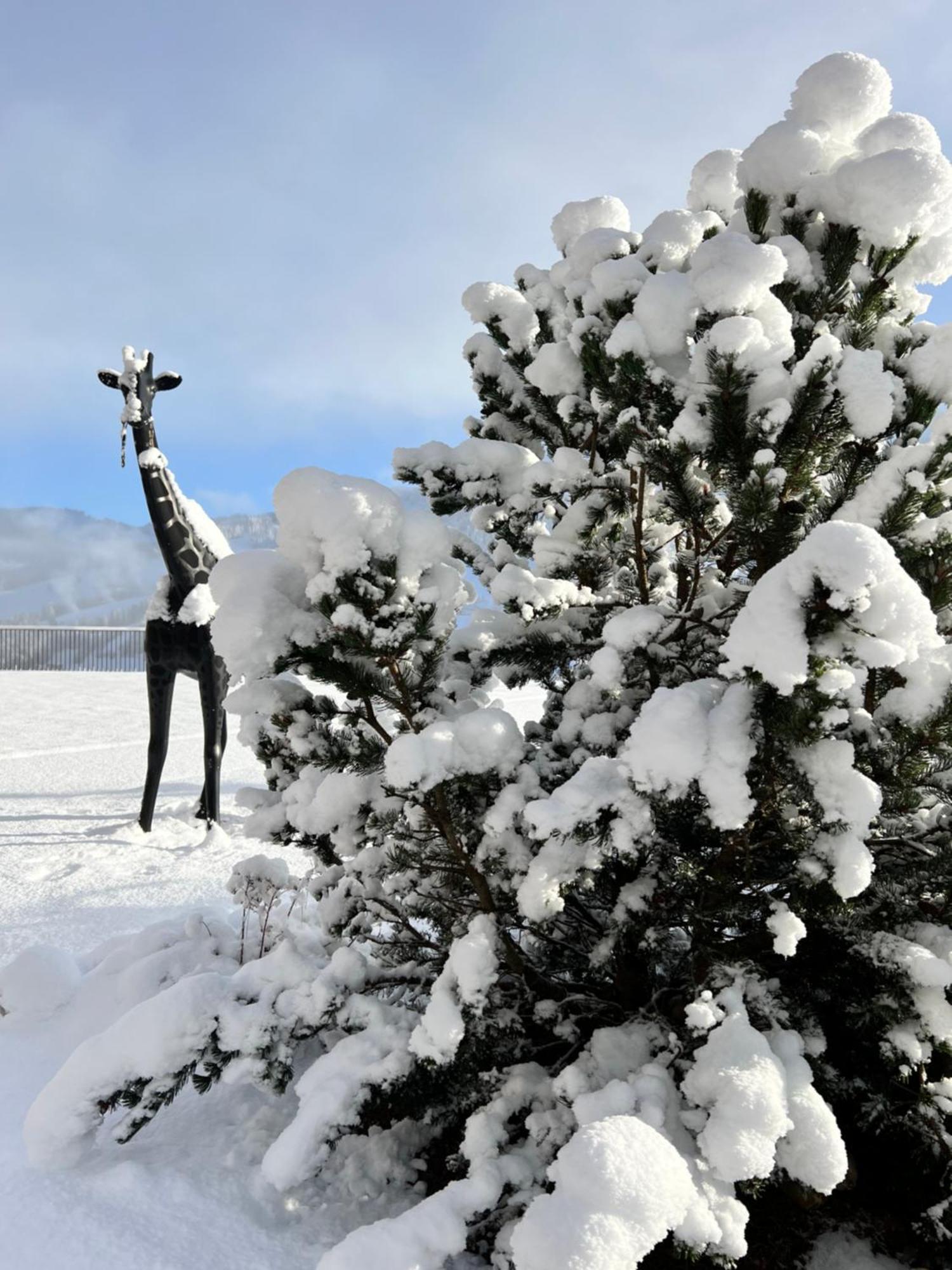 Hotel Lech Da Sompunt บาเดีย ภายนอก รูปภาพ